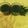Bina Anjaria's cooksnap of when they made Amla Juice.