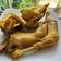 Cooksnap dari Ka Pawon by Elysnawati untuk resep Ayam goreng basah
