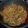 Cooksnap dari Dadylearnstocook untuk resep Mie Goreng Solaria