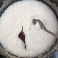 Cooksnap dari Kurniati Rahayuni untuk resep Bubur nasi (tanpa santan)