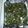 atokik21's cooksnap of when they made Spinach & Artichoke dip.