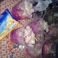 Cooksnap dari Lolita Nurjanah untuk resep Saus mayo salad buah