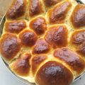 Shannon 's cooksnap of when they made Dinner Rolls.