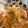 miki i's cooksnap of when they made 【鉄板】親子丼　#親子丼黄金比.