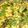 Vandna bosamiya's cooksnap of when they made નાયલોન ખમણ (Nylon Khaman Recipe In Gujarati).