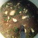 Cooksnap dari Sovie untuk resep SOTO KUDUS