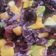 El cooksnap de Vida.Aplenitud cuando hizo Ensalada de rúcula con mango, aguacate, cebolla morada y feta.