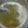 saba naz's cooksnap of when they made Imli ki Green chutney.