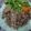 barirah halliru's cooksnap of when they made Wake da gero (kundun kaza or watsagar) 😂.