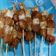 Cooksnap dari Prita Dewi Mariyam untuk resep Sate Ayam & Sosis (Bakar Teflon)