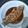 Cooksnap dari Tan Ai Cu untuk resep Kerapu saus tauco