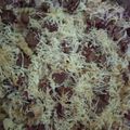 Cooksnap dari yunita purnomo untuk resep Makaroni Schotel Kukus
