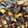 El cooksnap de Carmen66 cuando hizo Mejillones a la marinera.