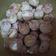 Cooksnap dari dewiq chubby untuk resep Nastar lumer