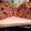 El cooksnap de Marta cuando hizo Barmbrack.