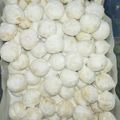 Cooksnap dari Yanti Rizha untuk resep Putri Salju Keju Mede