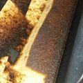 El cooksnap de alvaro miguel burdiles carrasco cuando hizo Colegiales.