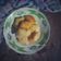 Cooksnap dari 🪻Eliza_Mahyawi🪻 untuk resep Getas tepung ketan