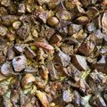 Cooksnap από Μαρία Ιωαννίδου στη συνταγή Αρνίσια συκωταριά στο φούρνο λαδορίγανη
