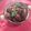 Epseeta Panigrahi's cooksnap of when they made Veg Manchurian (dry).