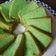 Cooksnap dari Lucia Setyo Utomo untuk resep Chiffon Pandan