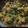 Sona Prajapati's cooksnap of when they made કુકર ભાજી... (ઓછા તેલ માં).