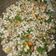 Anaya singla का कुकस्नैप जब उन्होंने साबूदाना खिचड़ी (sabudana khichdi recipe in Hindi) बनाया था।