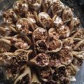 صورة من نسرين زعاتره ام تميم ، شاركها بعد تجربة وصفة طبق قطايف عصافيري بالقشطه والكريما 👌🏼😋