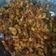 Cooksnap dari Ani Sofiyani untuk resep Sambal goreng kentang ati ampela ayam