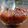 Cooksnap dari Ummu Aqim untuk resep Sambal Tauco