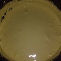 El cooksnap de Rosana Minafo cuando hizo Sambayón o Sabayón (crema).