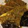Cooksnap dari Vina Fadhila Z. P. untuk resep Daging Sapi Rica Pedas