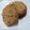 Cooksnap dari sarah mirza untuk resep Soft And Chewy Cookies