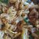 Cooksnap dari Dewi Andrian untuk resep Makroni basah