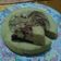 Cooksnap dari Andi Syamsiar Aprilita untuk resep Bolu agar agar