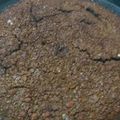El cooksnap de Soy Rubén Y Tengo Pasión Por La Cocina,a las cacerolas!! cuando hizo Pan de miel y te negro. Receta familiar antigua.