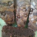 Cooksnap dari Tiffany Sevidina untuk resep Triple choco brownies, nyoklat bangeeet 😍😍