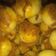Cooksnap dari Shinta Eka Pratiwi untuk resep Nastar abon isi bawang goreng