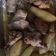 El cooksnap de maky cuando hizo Muslos de pollo al horno (hecho en bolsa).