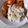 Cooksnap dari Bunda Keysha untuk resep Nasi Uduk Magic Com