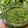 Claire01 Cooksnap-ja, amikor elkészítette a(z) Medvehagyma pesto receptet.