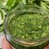 Claire01 Cooksnap-ja, amikor elkészítette a(z) Medvehagyma pesto receptet.