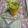 Rekha Ramchandani's cooksnap of when they made ઓરેન્જ મોકટેઈલ(Orange Mocktail Recipe in Gujarati).