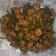 Cooksnap dari Dewi Ratnadi untuk resep Oseng tempe buncis