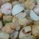 Cooksnap dari Mel Chan untuk resep Steamboat / sop olahan bakso ikan kuah segar