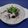 Cooksnap dari Nonni Coniasari untuk resep Bubur Ketan Hitam Kental Gurih
