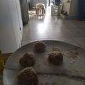 El cooksnap de Flor Saleme cuando hizo Bombones de avena light/fit rápido y fácil.
