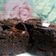 Cooksnap dari Aida untuk resep Fudgy brownies