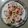 Devisha Harsh Bhatt's cooksnap of when they made દહીં વડા (Dahi Vada Recipe In Gujarati).