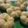 Cooksnap dari delly fairlenie untuk resep Roti manis ala bakery